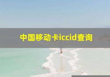 中国移动卡iccid查询