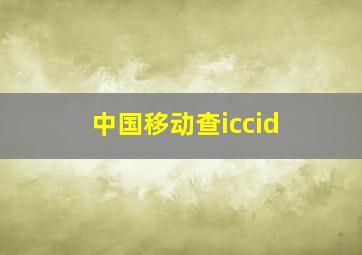 中国移动查iccid