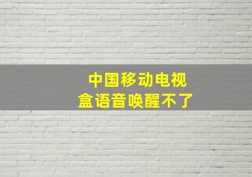 中国移动电视盒语音唤醒不了