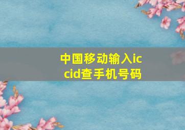 中国移动输入iccid查手机号码