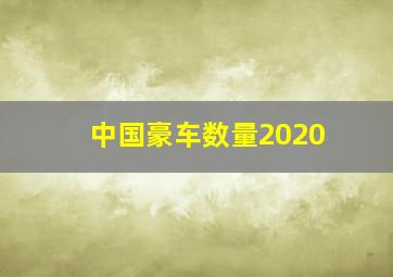 中国豪车数量2020