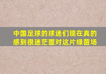 中国足球的球迷们现在真的感到很迷茫面对这片绿茵场