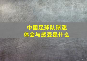 中国足球队球迷体会与感受是什么