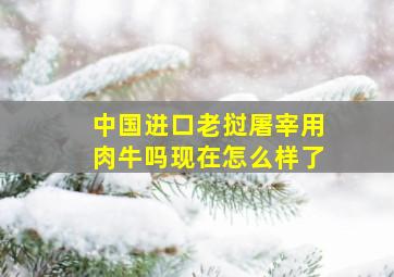 中国进口老挝屠宰用肉牛吗现在怎么样了