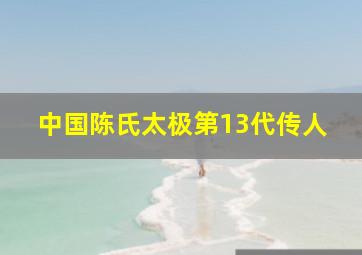 中国陈氏太极第13代传人