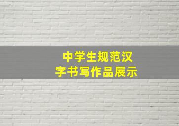 中学生规范汉字书写作品展示