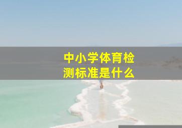 中小学体育检测标准是什么