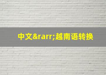 中文→越南语转换