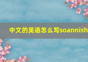 中文的英语怎么写soannish