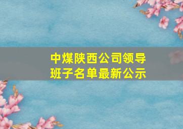 中煤陕西公司领导班子名单最新公示