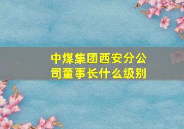 中煤集团西安分公司董事长什么级别