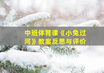 中班体育课《小兔过河》教案反思与评价