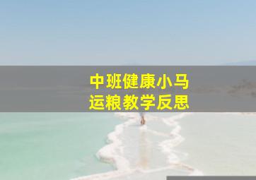 中班健康小马运粮教学反思