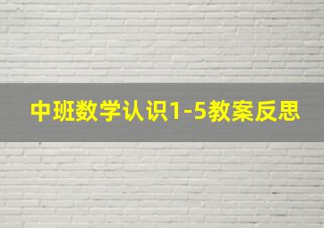 中班数学认识1-5教案反思