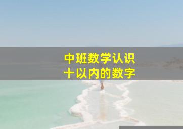 中班数学认识十以内的数字