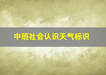 中班社会认识天气标识