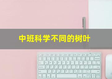 中班科学不同的树叶