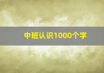 中班认识1000个字