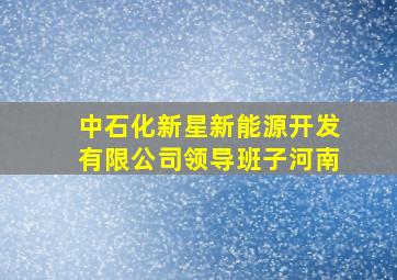 中石化新星新能源开发有限公司领导班子河南