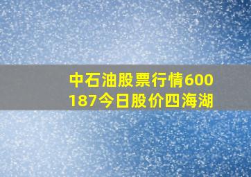 中石油股票行情600187今日股价四海湖