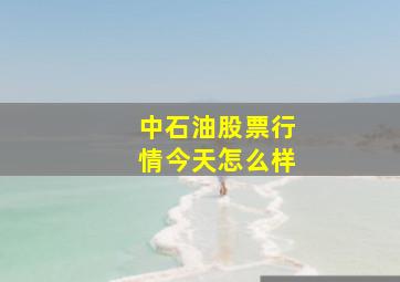 中石油股票行情今天怎么样