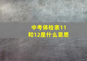 中考体检表11和12是什么意思