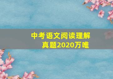 中考语文阅读理解真题2020万唯