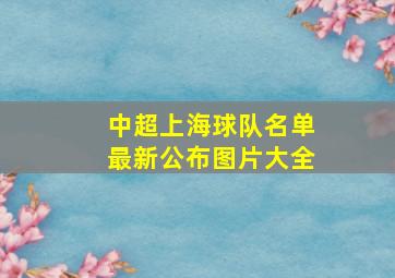 中超上海球队名单最新公布图片大全