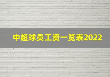 中超球员工资一览表2022