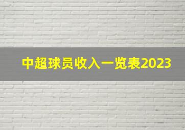 中超球员收入一览表2023