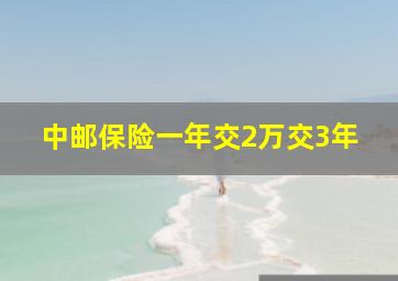 中邮保险一年交2万交3年