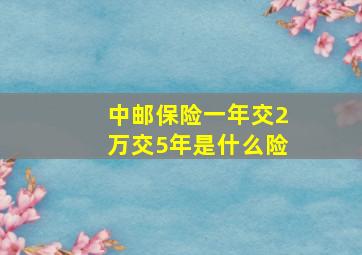 中邮保险一年交2万交5年是什么险