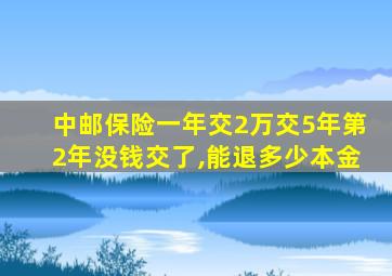 中邮保险一年交2万交5年第2年没钱交了,能退多少本金