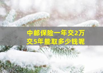 中邮保险一年交2万交5年能取多少钱呢