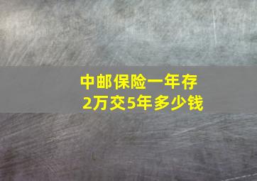 中邮保险一年存2万交5年多少钱