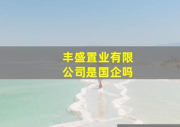 丰盛置业有限公司是国企吗