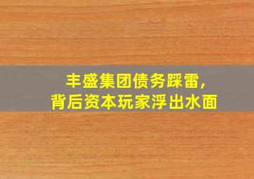 丰盛集团债务踩雷,背后资本玩家浮出水面