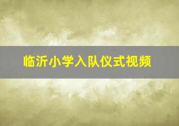 临沂小学入队仪式视频