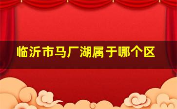 临沂市马厂湖属于哪个区