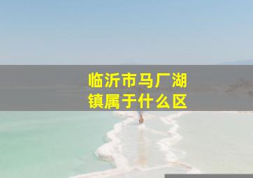 临沂市马厂湖镇属于什么区