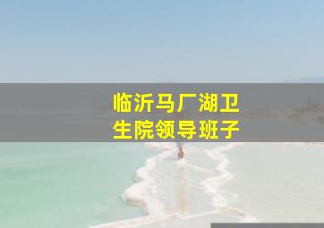 临沂马厂湖卫生院领导班子