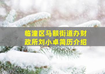 临潼区马额街道办财政所刘小卓简历介绍