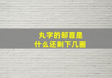 丸字的部首是什么还剩下几画