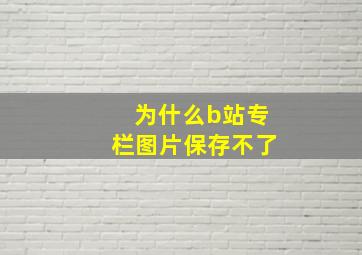 为什么b站专栏图片保存不了