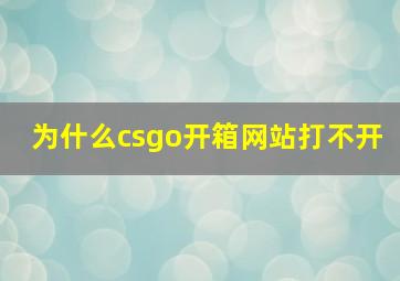 为什么csgo开箱网站打不开