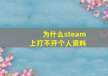 为什么steam上打不开个人资料