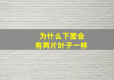 为什么下面会有两片叶子一样