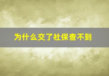 为什么交了社保查不到