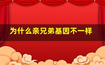 为什么亲兄弟基因不一样