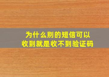 为什么别的短信可以收到就是收不到验证码